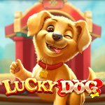 Lucky Dog